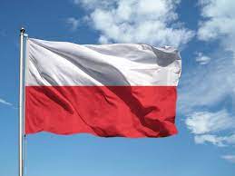 🐱‍👤🐱‍👤🐱‍👤I nostri clienti della Polonia / NASI KLIENCI Z POLSKI&nbsp;🐱‍👤🐱‍👤🐱‍👤